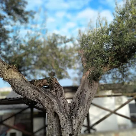 Dimora Del Fragno Nyaraló