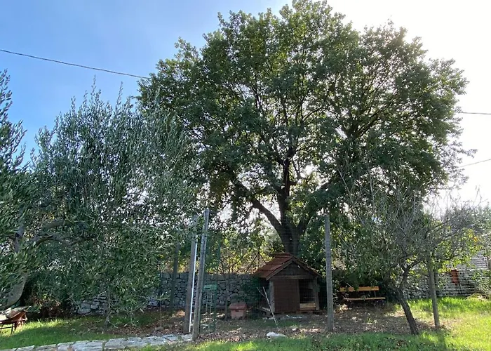 בית נופש Dimora Del Fragno קסטלאנה גרוטה