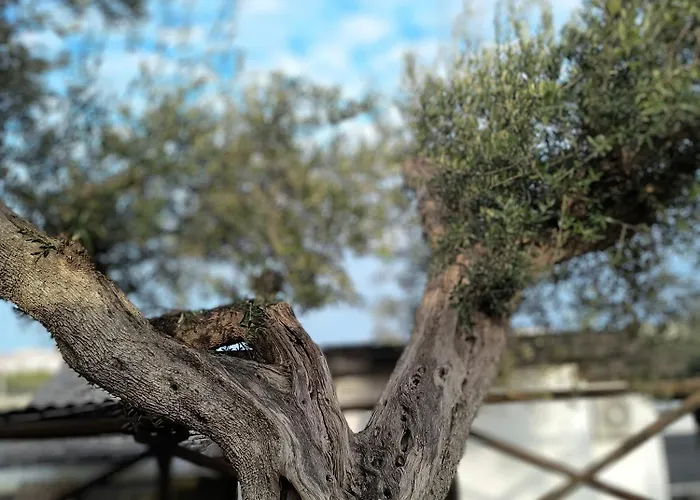 Dimora Del Fragno בית נופש